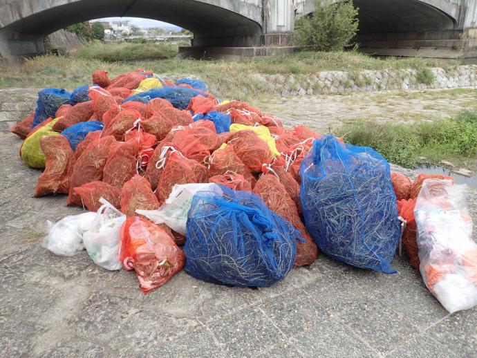 中信オオバナ５