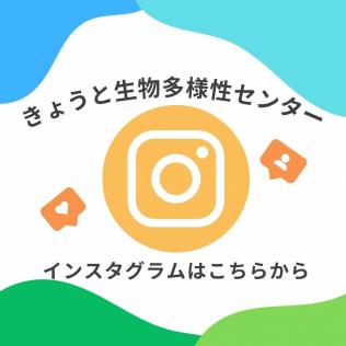 インスタグラム