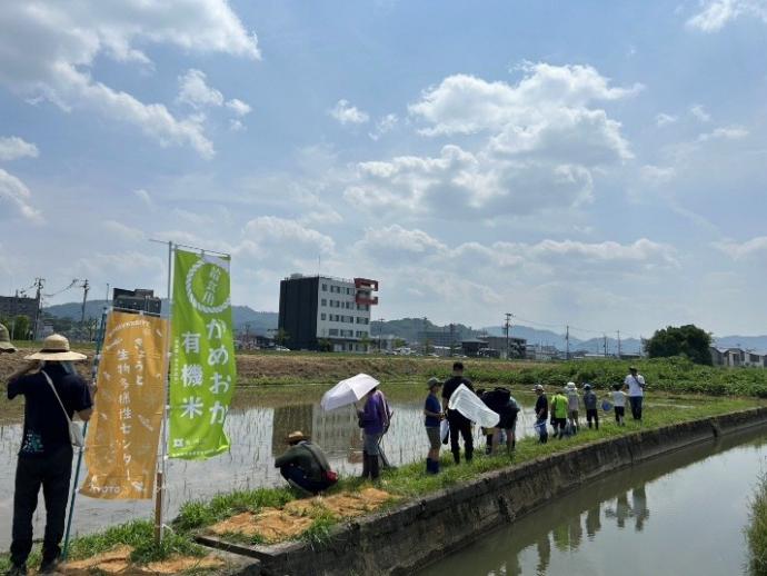 たんぼツアー４