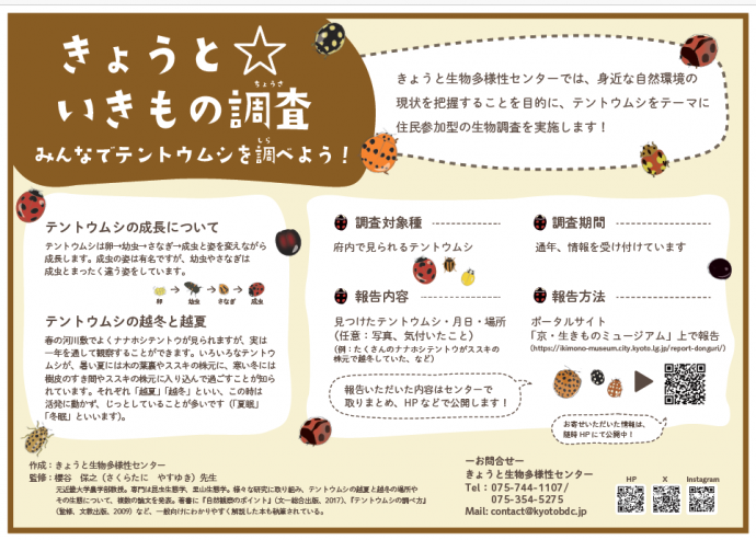 テントウムシ図鑑２