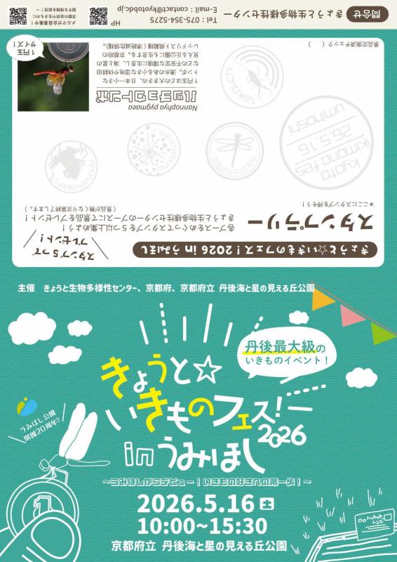 チラシ表