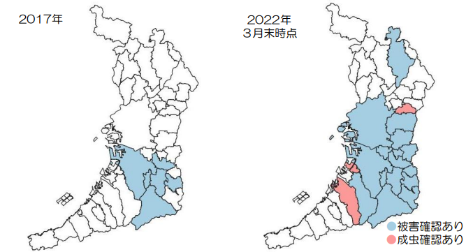 大阪府分布拡大