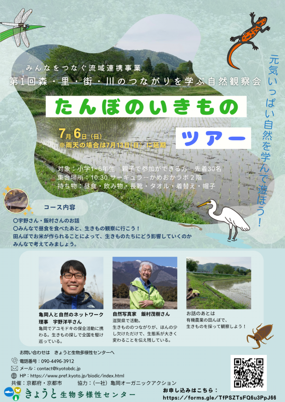 たんぼのいきものツアー