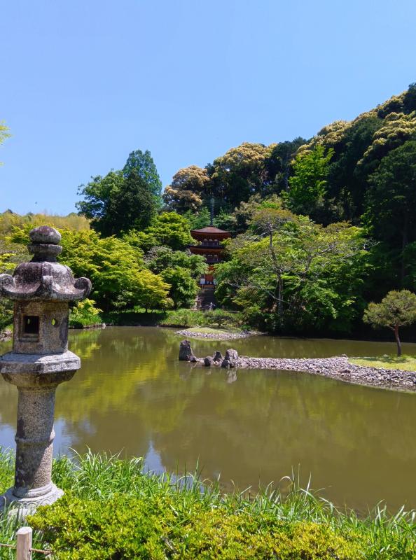 浄瑠璃寺動画