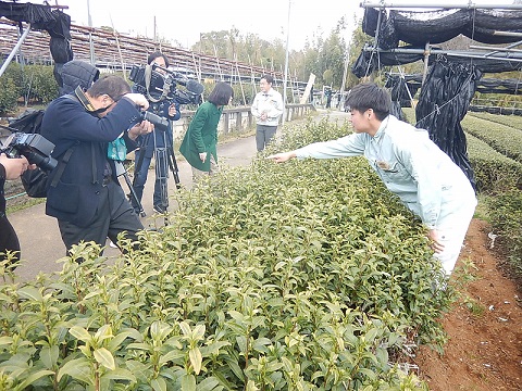 2025050902hougasengen