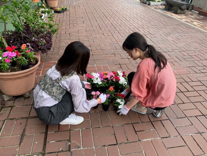 花の植え替えの様子