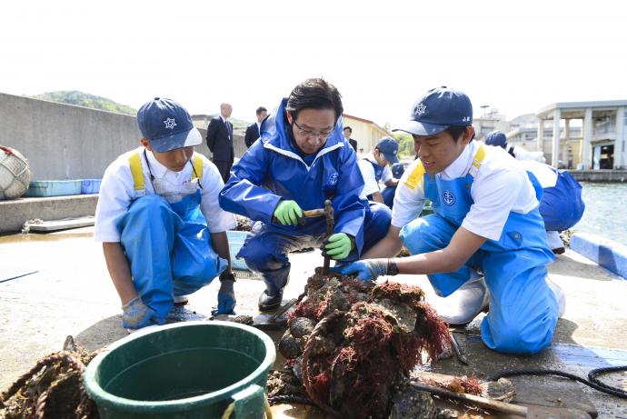 海洋高校の生徒の皆さんと一緒に授業実習（岩ガキ養殖）を体験