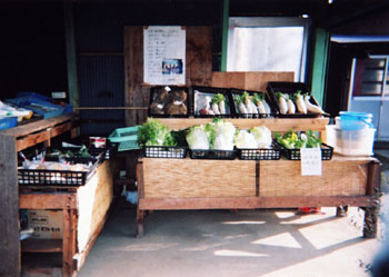 住所野菜グループ写真