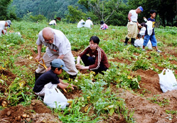 三和荘　直営農園写真