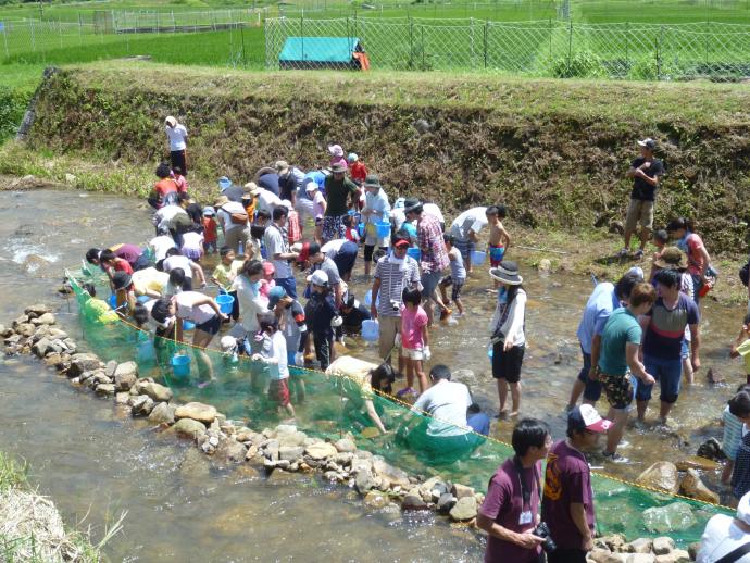 平成２７年度魚つかみ大会