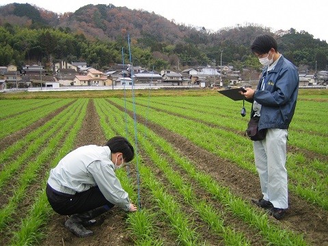 調査により生育状況を把握