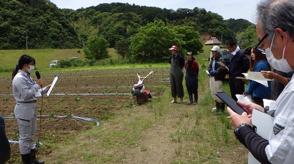 1回目の土寄せについて説明