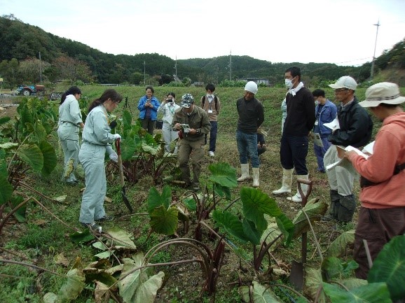 収穫方法のコツを学ぶ生産者