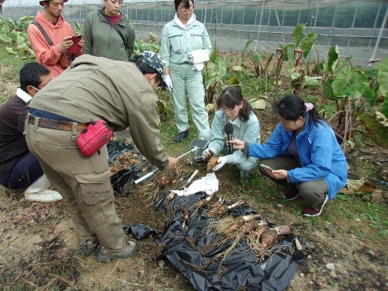 市場評価の高い磨き方を確認