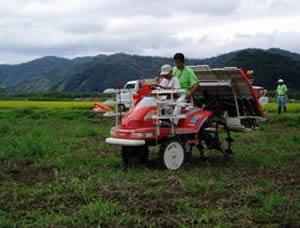 田植機（稲の苗を植える機械です。）