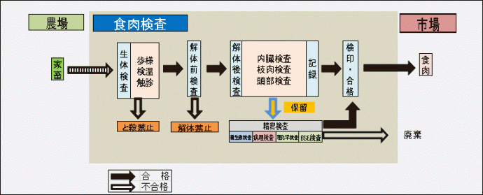 と畜検査の流れ