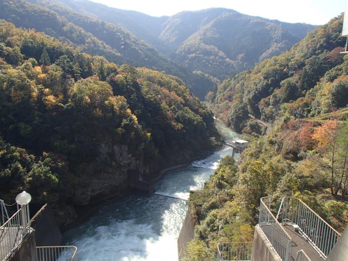 大野ダムもみじ写真11月13日6