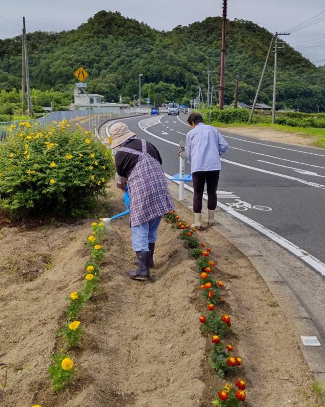 kabutoyamahanaippaiiinnkai