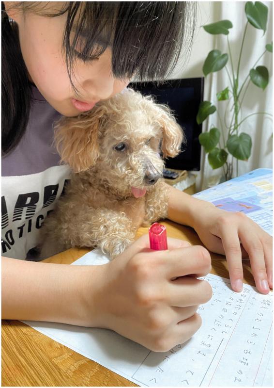 女の子と犬の写真