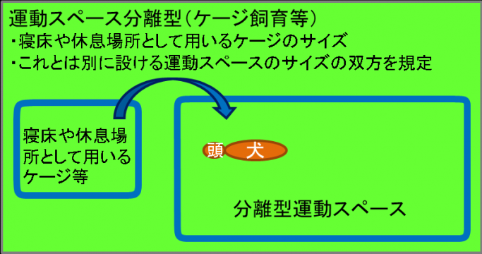 運動スペース分離型