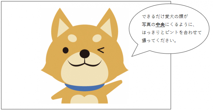 犬写真