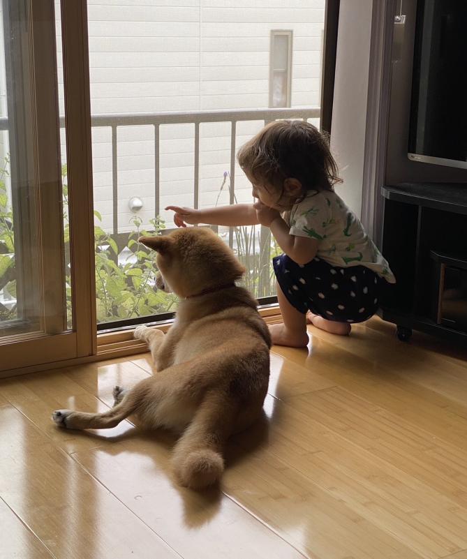 譲渡動物特別賞の写真