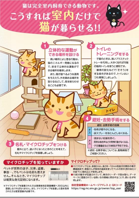 猫チラシ03