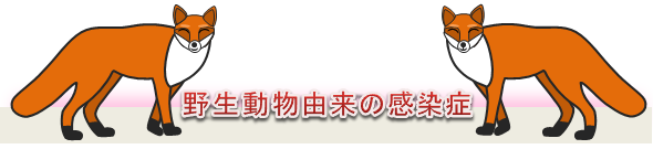 野生動物由来の感染症