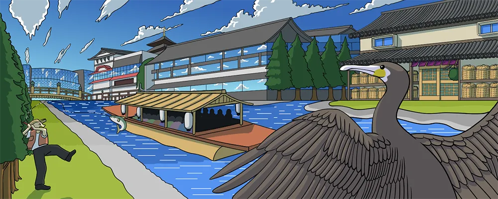 京都の川巡り