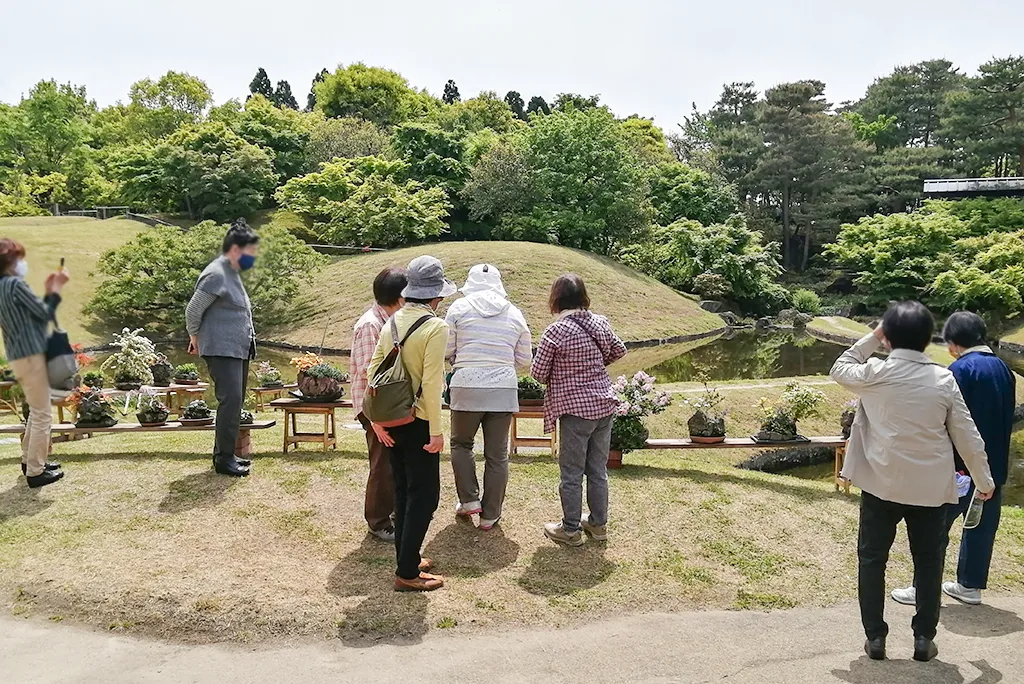 春の和の花展