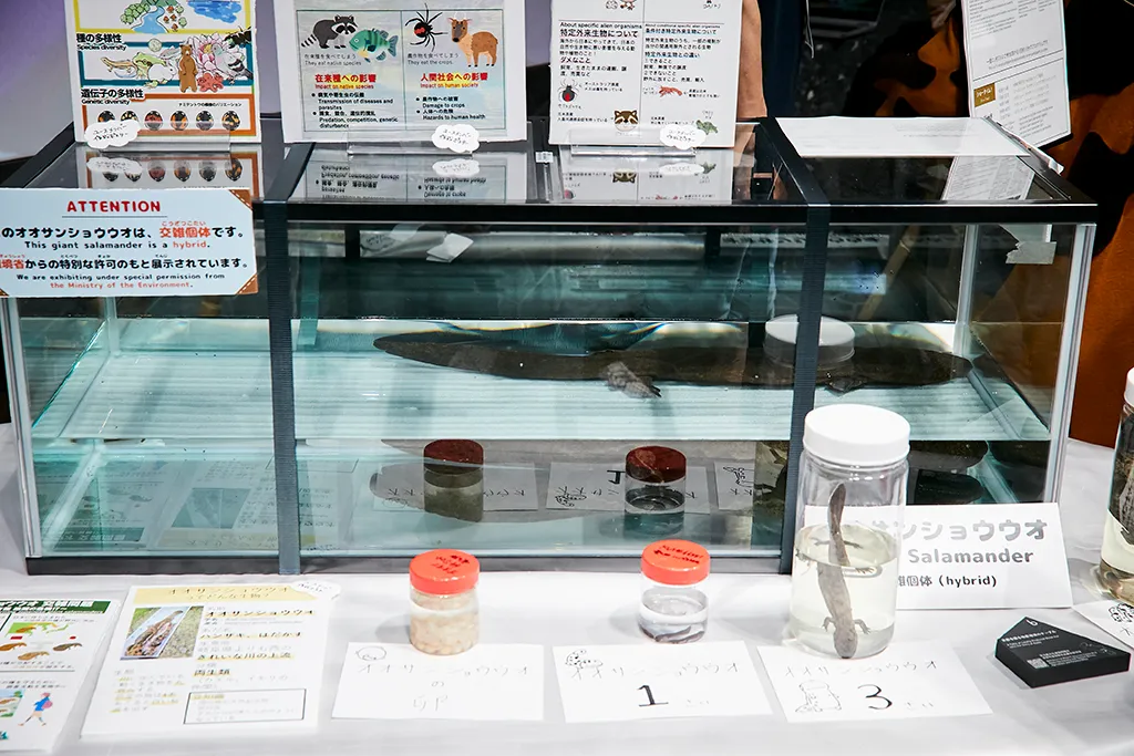 未来をつくるの展示