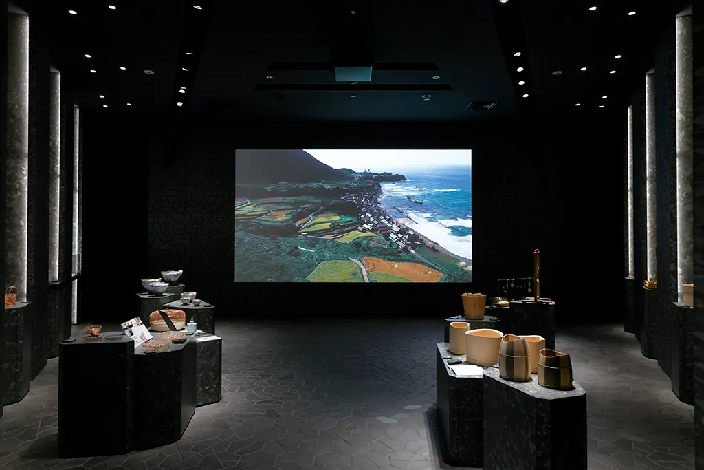 進化と継承の展示