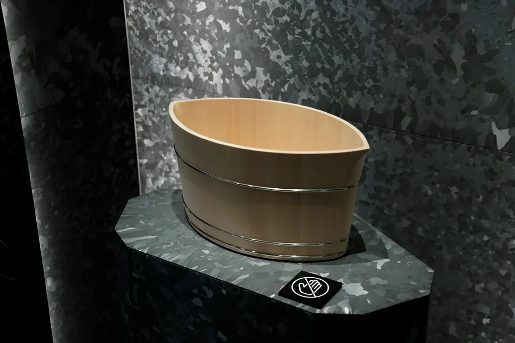 進化と継承の展示