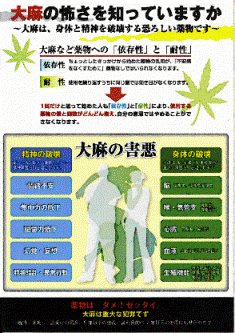 大麻の怖さをしっていますか