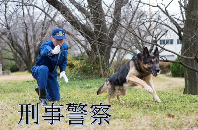 刑事警察