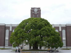 京都大学