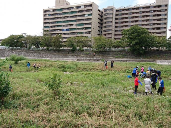 令和2年度駆除活動の様子