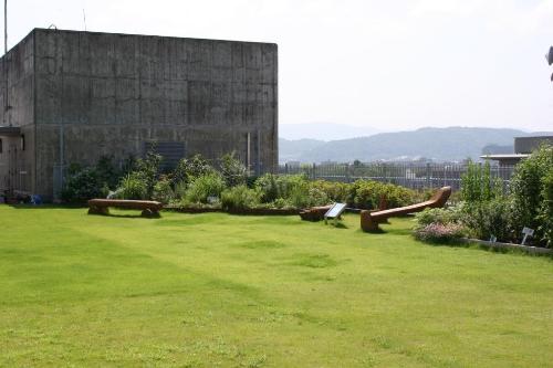 京てらす全景