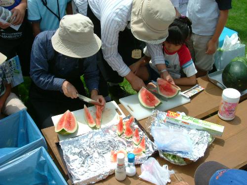 夏の収穫祭、屋上で採れたスイカをふるまう