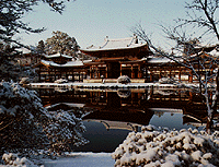 写真：平等院全景