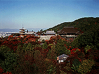 写真：清水寺遠景