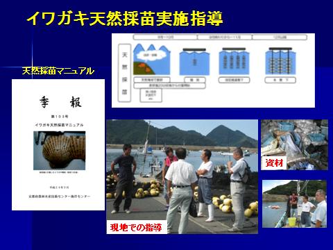 天然採苗技術を漁業者に移転するタスクチーム