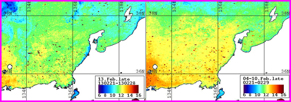 ノア表面水温分布（２月下旬）