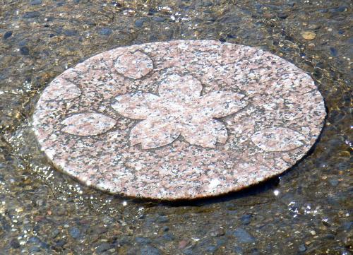 飛び石の桜