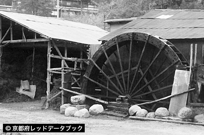 杉の葉を乾燥させたものを、水車ですりつぶし、タブの葉のノリコ、染料を混ぜ合わせて、線香用の粉にした