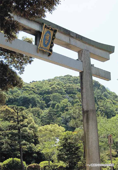 一ノ鳥居からみた保全地域