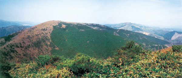 大江山連峰、鍋塚（763m）のなだらかな山容