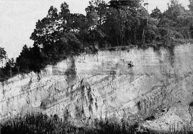 精華町下狛僧坊の傾斜不整合　1975年　小村良二撮影