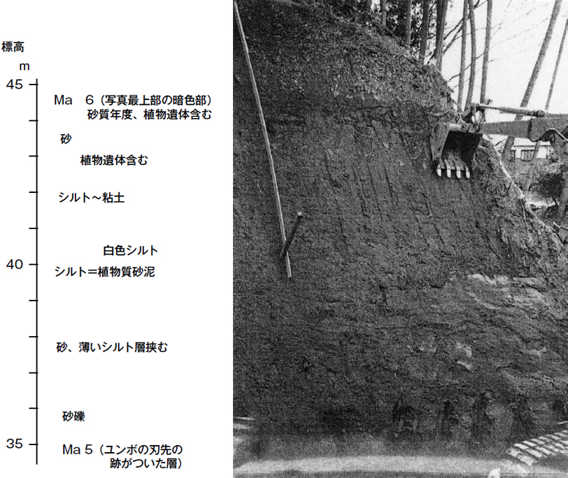 北西よりみる　2000年2月22日　石田志朗撮影