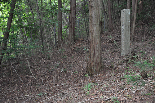 桜天満宮所有の桜石（山本睦徳）